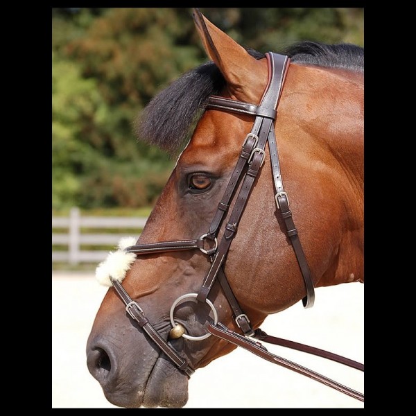 Dyon (WC) Trense Classic mit mexikanischem Reithalfter