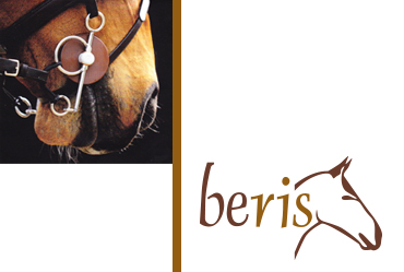 Beris-Banner