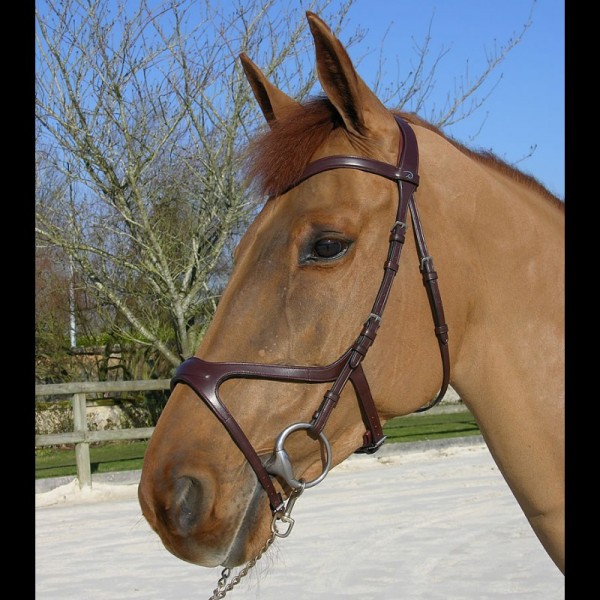 Dyon (NEC) anatomische Trense X Fit