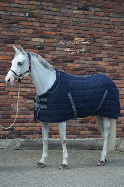 Lecou Stalldecke 400 g